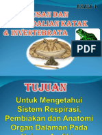 Slide 4 - Pembedahan Katak