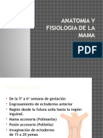 Anatomiayfisiologiadelamama 101220203217 Phpapp02