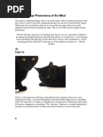 Download Top 10 Strange Phenomena of the Mind by ButterFly  SN3271658 doc pdf