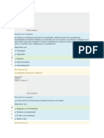 Primer Parcial de Teoria de las Organizaciones.pdf