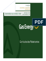 Seminario - CVs - Palestrantes Gas Energy PDF