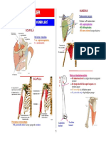 01_Kemikler_ATU-AMU.net.pdf