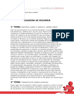 Esquema de Resumen 002