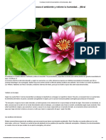 Conoce las acuáticas _ Plantas.pdf