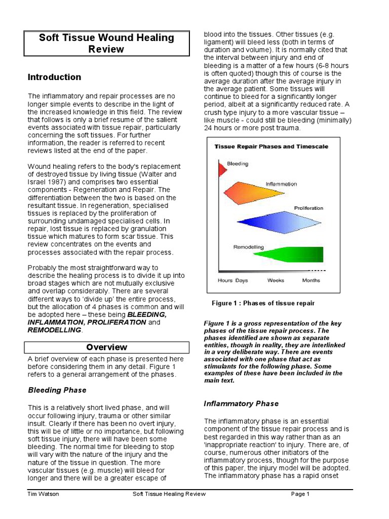 Soft Tissue Wound Healing | PDF