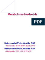 Metabolisme Nukleotida