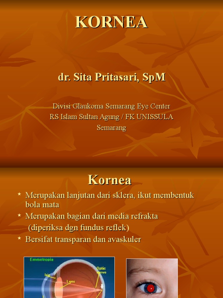 Kelainan dan Pemeriksaan Kornea | PDF