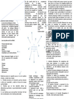 Estrategias para crear un océano azul