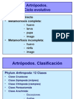 Artrópodos