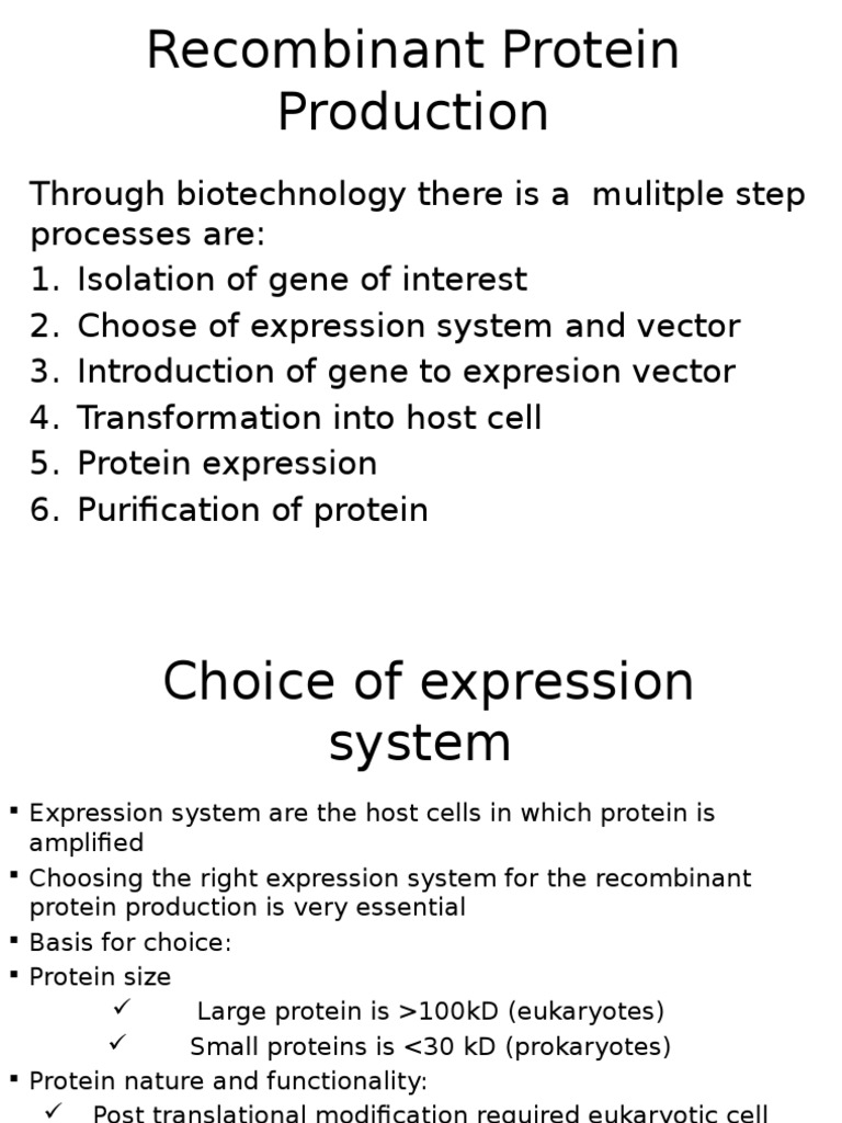 Protein Production PDF