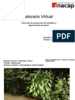 Malezario-julian semler 2010.pdf