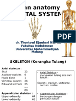 Osteologi