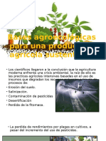 Bases Agroecológicas para Una Producción Agrícola Sustentable
