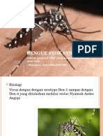 Dengue Syok Syndrom