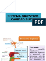 Sistema Digestivo. Cavidad Bucal