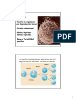 T2 Meiosis PDF