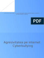 Agresivitatea Pe Internet