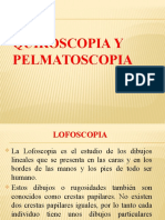 Quiroscopia y Pelmatoscopia