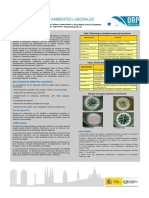 Micotoxinas en ambientes laborales.pdf