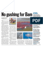 No Gushing For Bam (amNEWYORK Article)