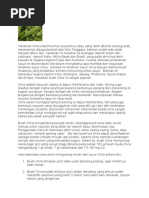 Download okra buah by RishaFarahFadillah SN327251957 doc pdf