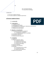 Procesos Cognitivos.pdf