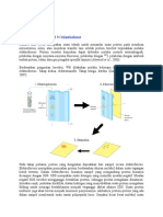 Western Blotting