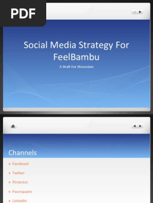 Social Media Strategy-FeelBambu