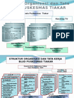Struktur Organisasi TIAKAR.pptx
