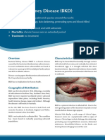 BKD, EHN, EUS Diseases Salmonids Freshwater Fish