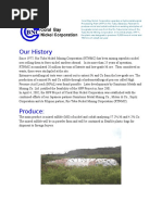 Taganito HPAL Project | PDF | Iron | Nickel