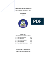 Laporan Praktikum Biologi - Bentuk Dan Strutur Sel