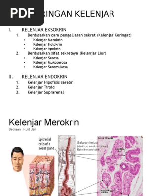 Eshakda obektlar bilan rus porno