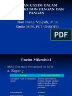 Enzim DLM Industri Pangan Dan Non Pangan