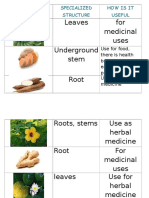 Leaves For Medicinal Uses Underground Stem Root: Plants Specialized Structure How Is It Useful
