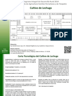 LECHUGA fenología.pdf