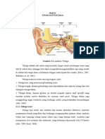 BAB II Anatomi-Epidemiologi