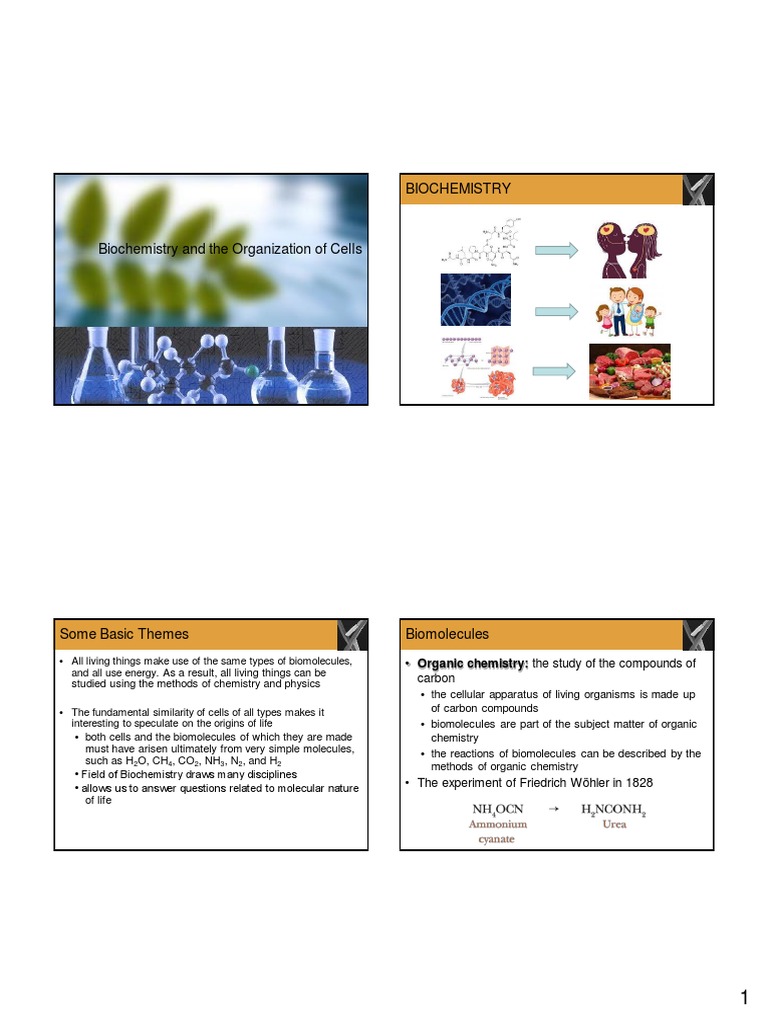 Biochemistry and Cell Organization Insights | PDF | Science & Mathematics