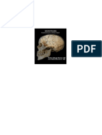 NEUROTRAUMA.pdf