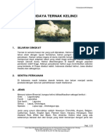 kelinci ebook.pdf