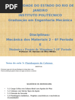 Tema 5 Flambagem de Colunas Aluno (1)