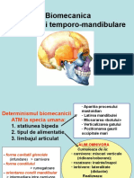  Biomecanica ATM