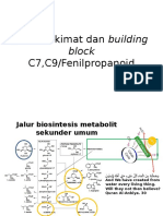 Kuliah 4 Jalur Shikimat Dan Building Block C9