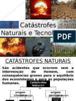 11_catastrofes