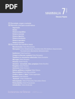 7 Mammalia
