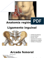 Anatomía Región Inguinal