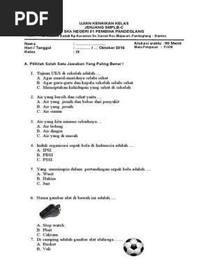 Rpp Smplb Tunagrahita Kelas 9 Revisi Id