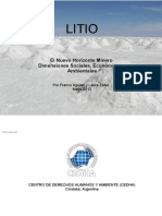 INFORME-LITIO-FINAL...pdf