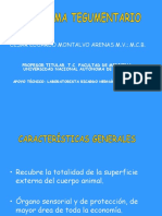 Sistema Tegumentario.pdf