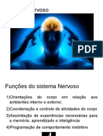 Neuroanatomia Aula 1.2.2